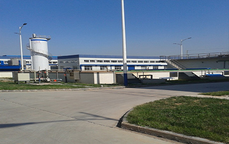 gg999策略手机白菜 - 999策略白菜网大全