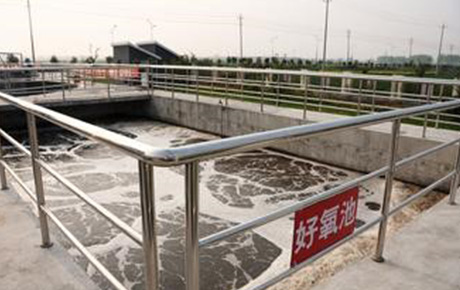 gg999策略手机白菜 - 999策略白菜网大全