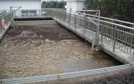 gg999策略手机白菜 - 999策略白菜网大全