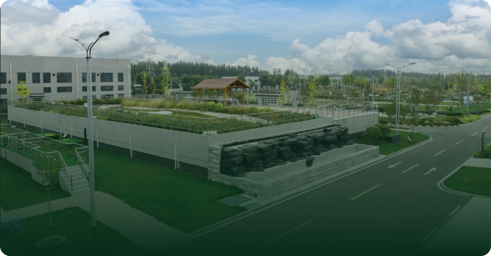 gg999策略手机白菜 - 999策略白菜网大全